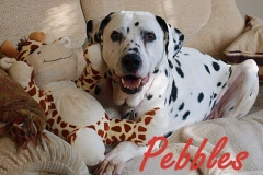 pebbles-001