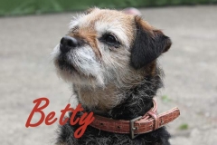 Betty 1