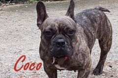 Coco 15th September (16)