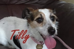 Tilly