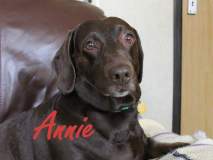 Annie-1