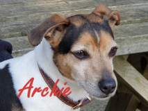 Archie-23rd-Feb-26