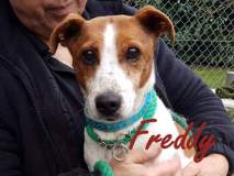 Freddy-2nd-jan-2