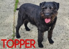 Topper