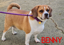 Benny