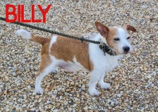 Billy