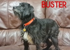 Buster