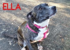 Ella
