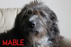 Mable