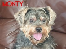 Monty