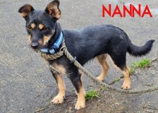 Nanna