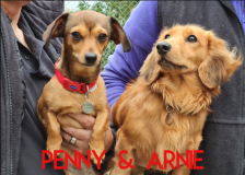 Penny-and-Arnie