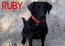 Ruby