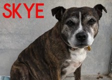 Skye