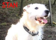 Stan