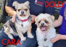 Cara-and-Dolly