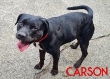 Carson