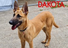 Dakota