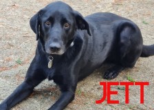 Jett