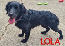 Lola