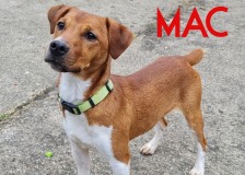 Mac