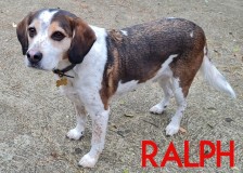 Ralph