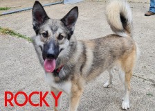 Rocky
