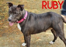 Ruby-2