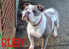 Ruby