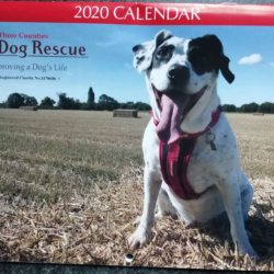 Three counties Dog Rescue Calendar