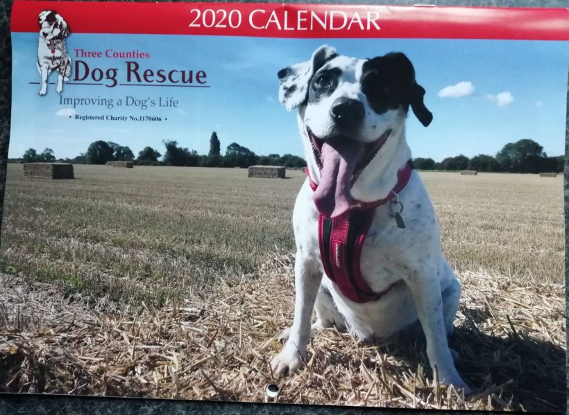 Three counties Dog Rescue Calendar