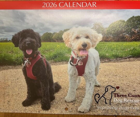 2026 Calendar