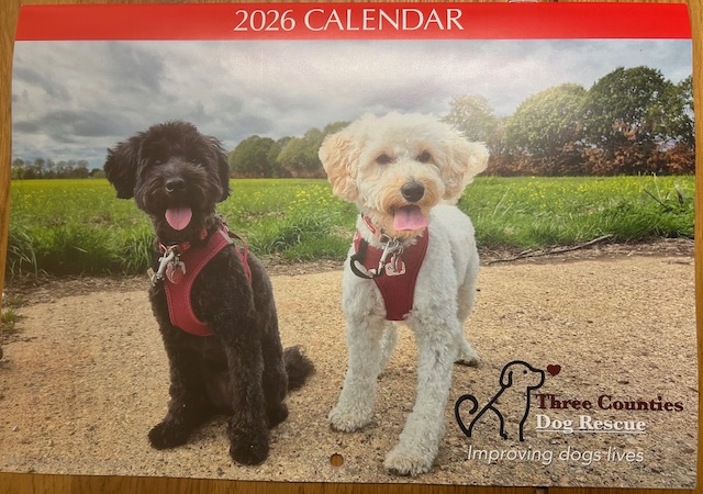 Calendar 2026