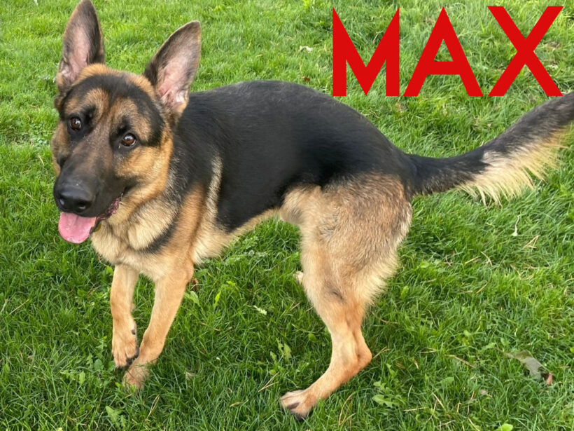 Max