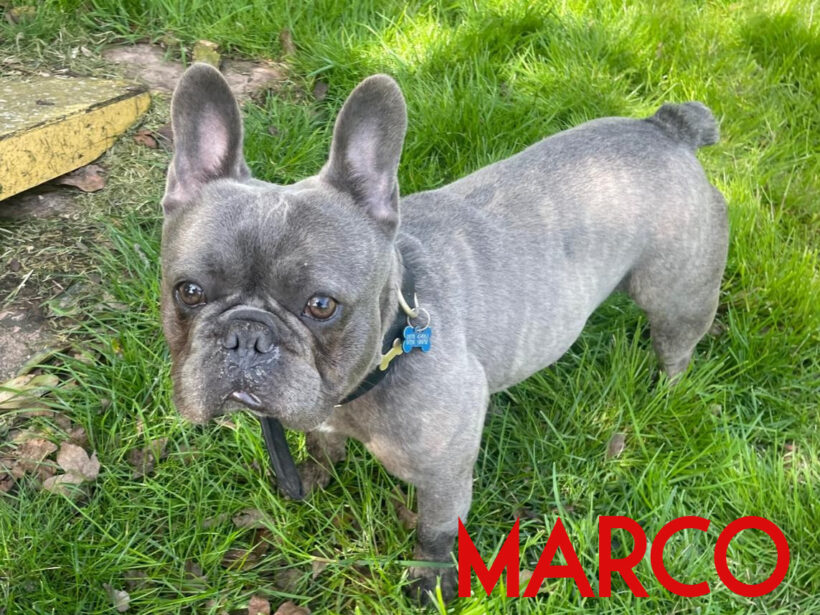 Marco