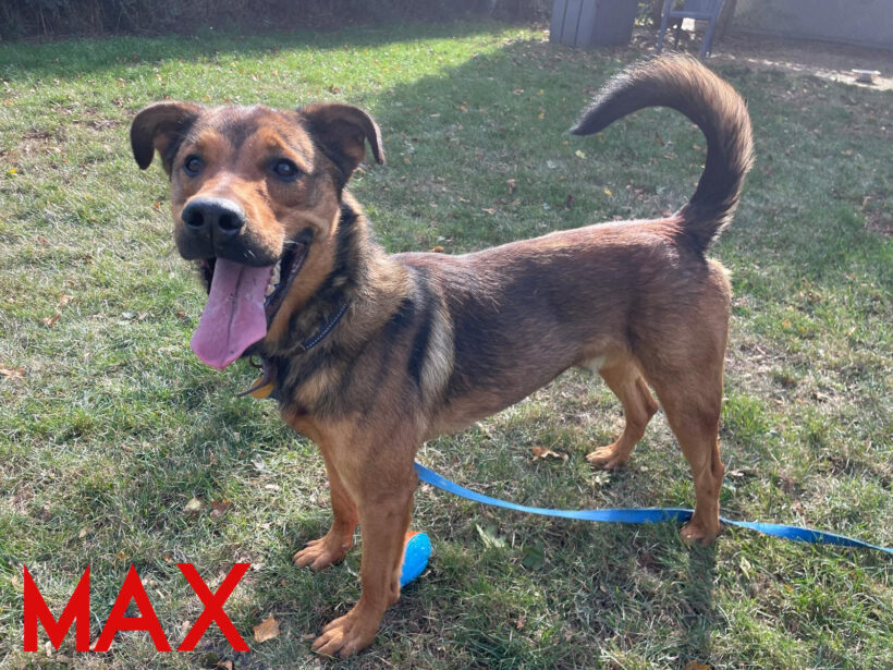 Max Max