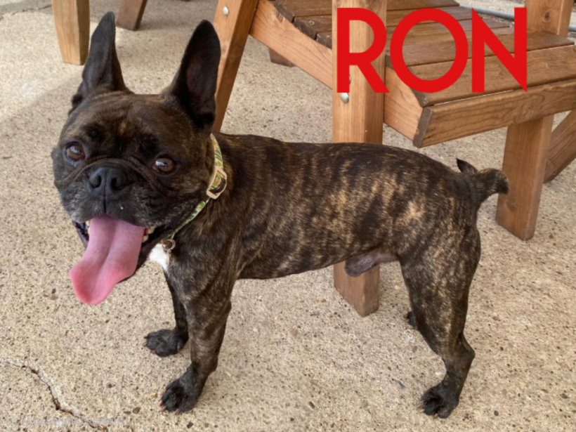 Ron Ron