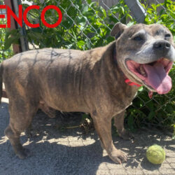 Kenco
