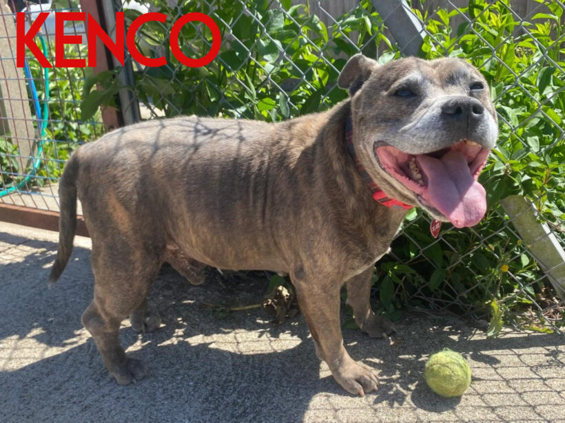 Kenco